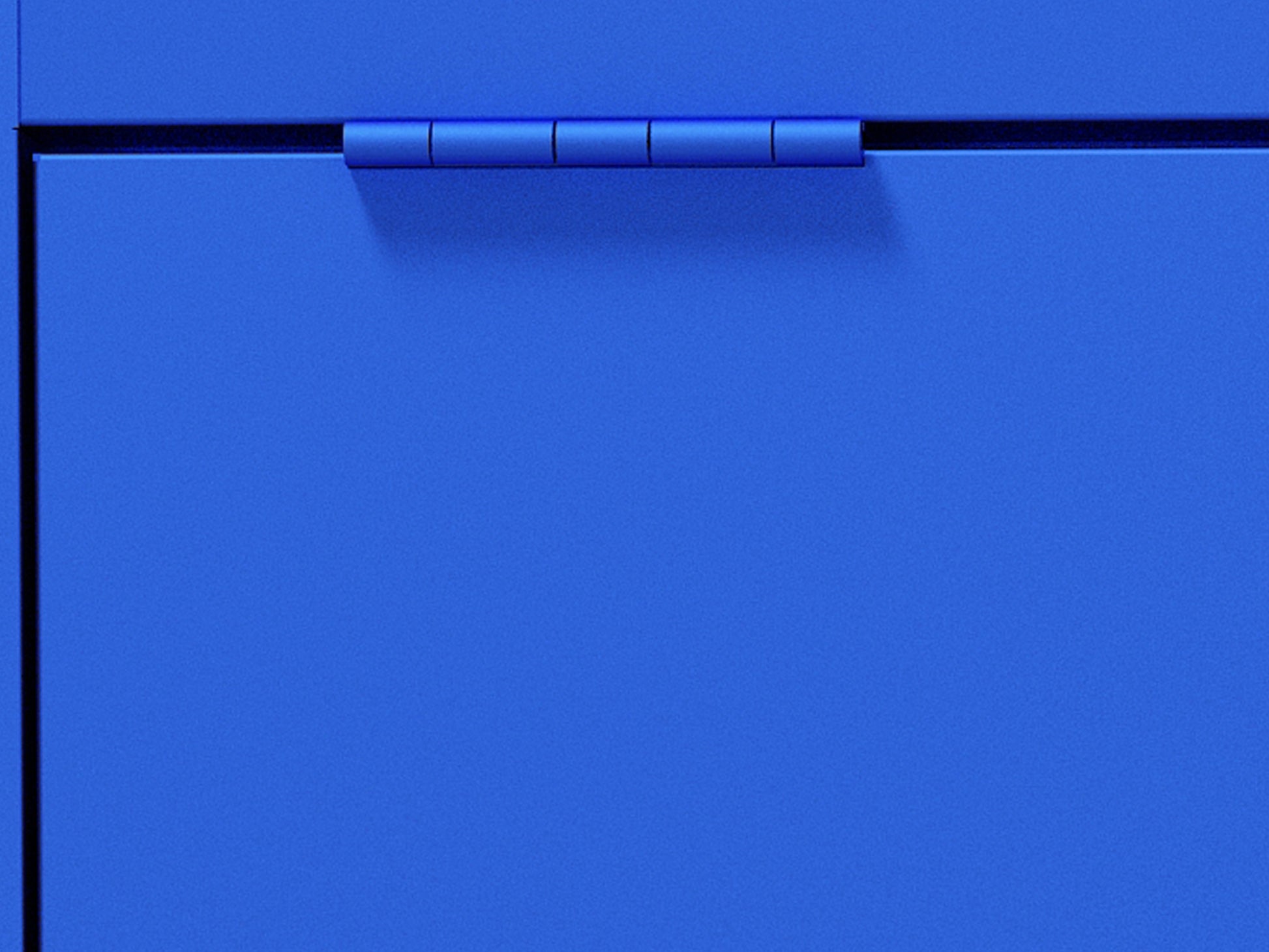 21963491