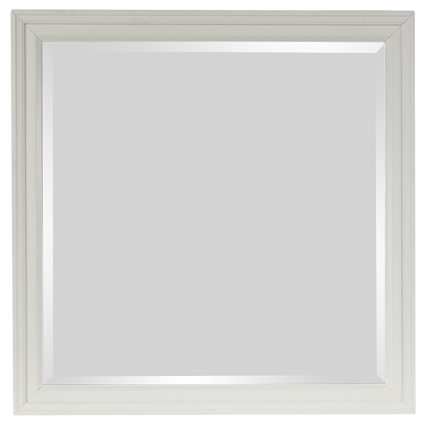 25206956