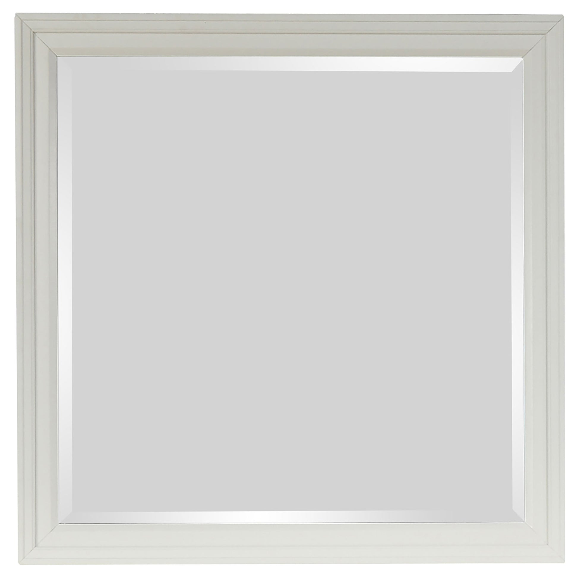 25206956