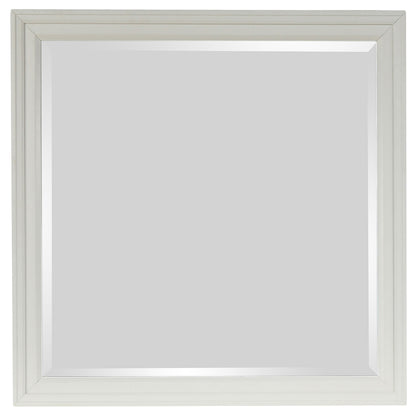 25206956